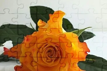 imagem jigsaw puzzle
