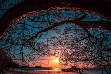 natural jigsaw puzzle