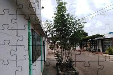 la moringa jigsaw puzzle