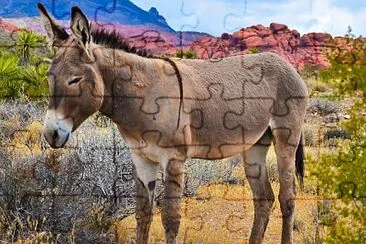 Jumento nordestino jigsaw puzzle