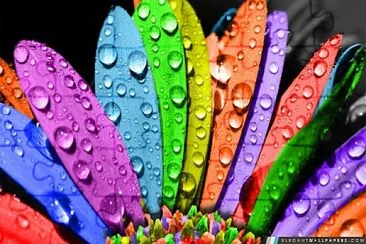 Rainbow Flower