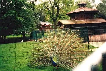Jardin botanique Ã  Tours jigsaw puzzle