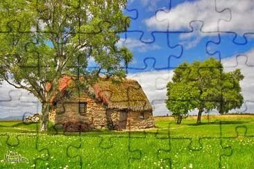 naturaleza jigsaw puzzle