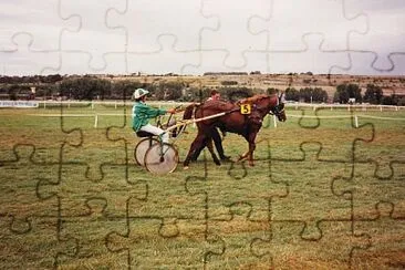 Les courses de trot attelÃ© Ã  DIEPPE