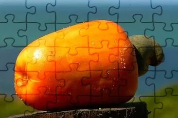 frutas