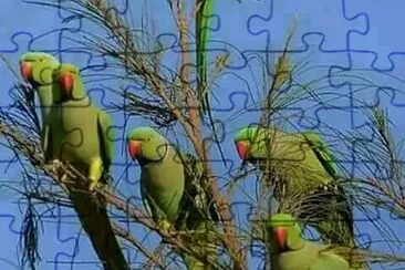 17 jigsaw puzzle