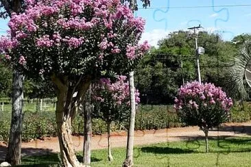 פאזל של 18