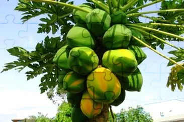 frutas