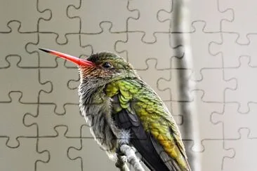 natural jigsaw puzzle