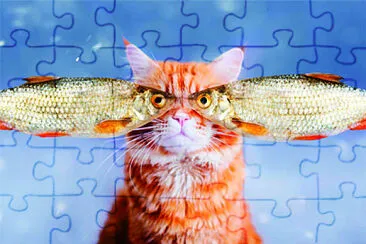 æ”å½± jigsaw puzzle