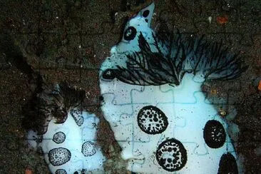 Jorunna funebris jigsaw puzzle