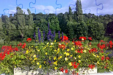bloemen