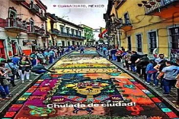 TAPETE DE FLORES