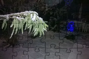 neve jigsaw puzzle