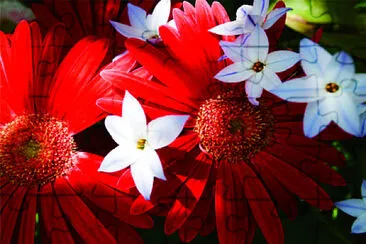 èŠ±æ”å½± jigsaw puzzle