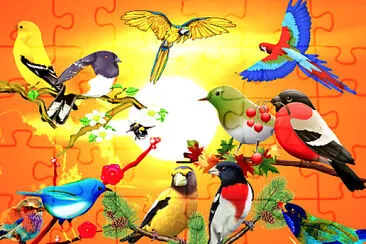 Oiseaux