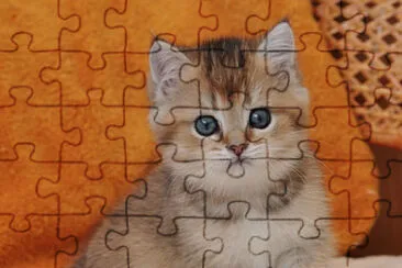 Black golden ticked jigsaw puzzle