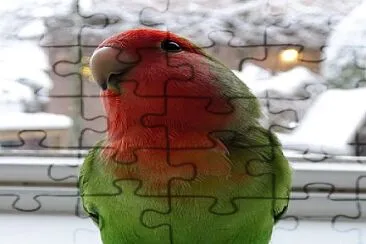 natural