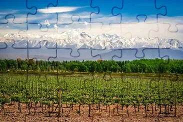VINO FRUTA Y NIEVE jigsaw puzzle