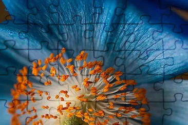 naturaleza jigsaw puzzle