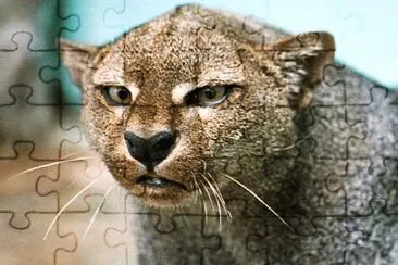 natural jigsaw puzzle