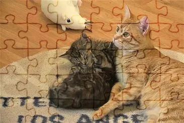 Nature jigsaw puzzle