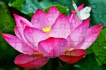 colors jigsaw puzzle