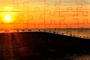 206 jigsaw puzzle
