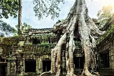 roots jigsaw puzzle