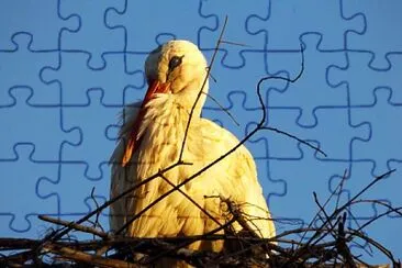A Cegonha jigsaw puzzle