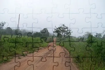 natureza e famÃ­lia
