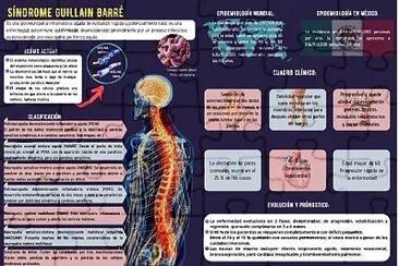 Tarea neuro