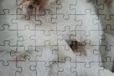 Yasi jigsaw puzzle