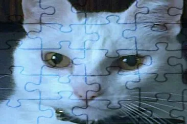 Yaasi jigsaw puzzle