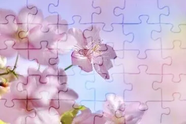 flower jigsaw puzzle