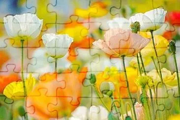 flower jigsaw puzzle