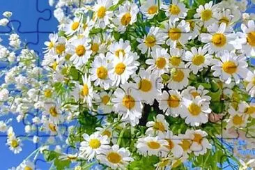 flower jigsaw puzzle