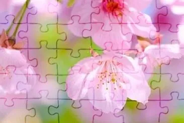 flower jigsaw puzzle