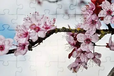 imagem jigsaw puzzle