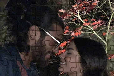  jigsaw puzzle