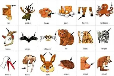 ANIMALS jigsaw puzzle