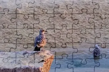 atardecer en bueu jigsaw puzzle
