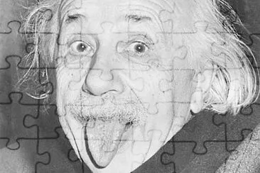 Riddlemenot jigsaw puzzle