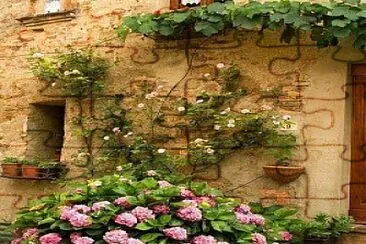 flores jigsaw puzzle