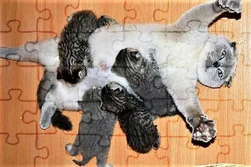 mom #306 jigsaw puzzle