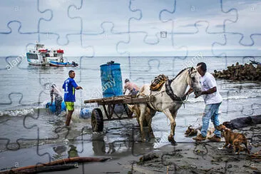 vzla jigsaw puzzle