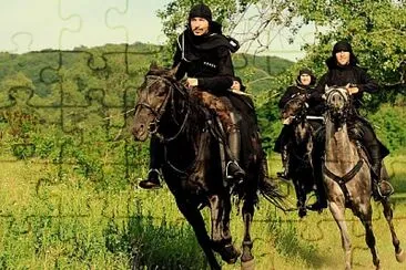 Horses jigsaw puzzle