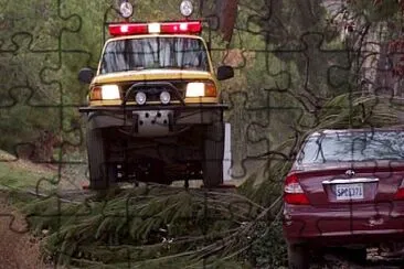 פאזל של Sly and Ralph jump a tree - Fractured