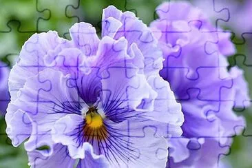 flores jigsaw puzzle