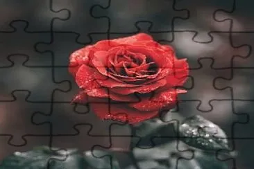 flores jigsaw puzzle